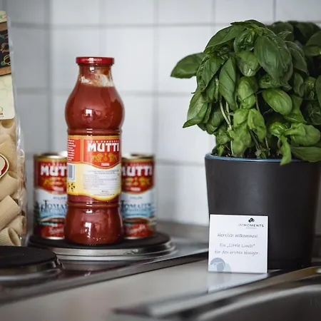 Serviced Mit Netflix Und Wlan Im Zentrum We 04 * Magdeburg