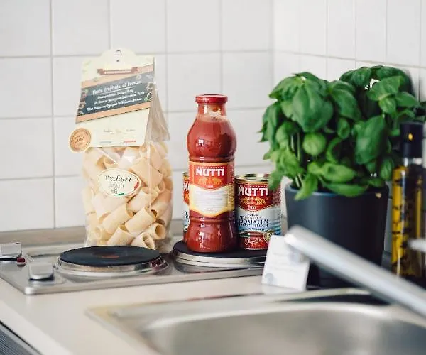 Serviced Mit Netflix Und Wlan Im Zentrum We 04 * Magdeburg