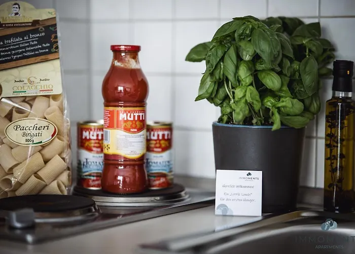 Serviced Mit Netflix Und Wlan Im Zentrum We 04 * Magdeburg